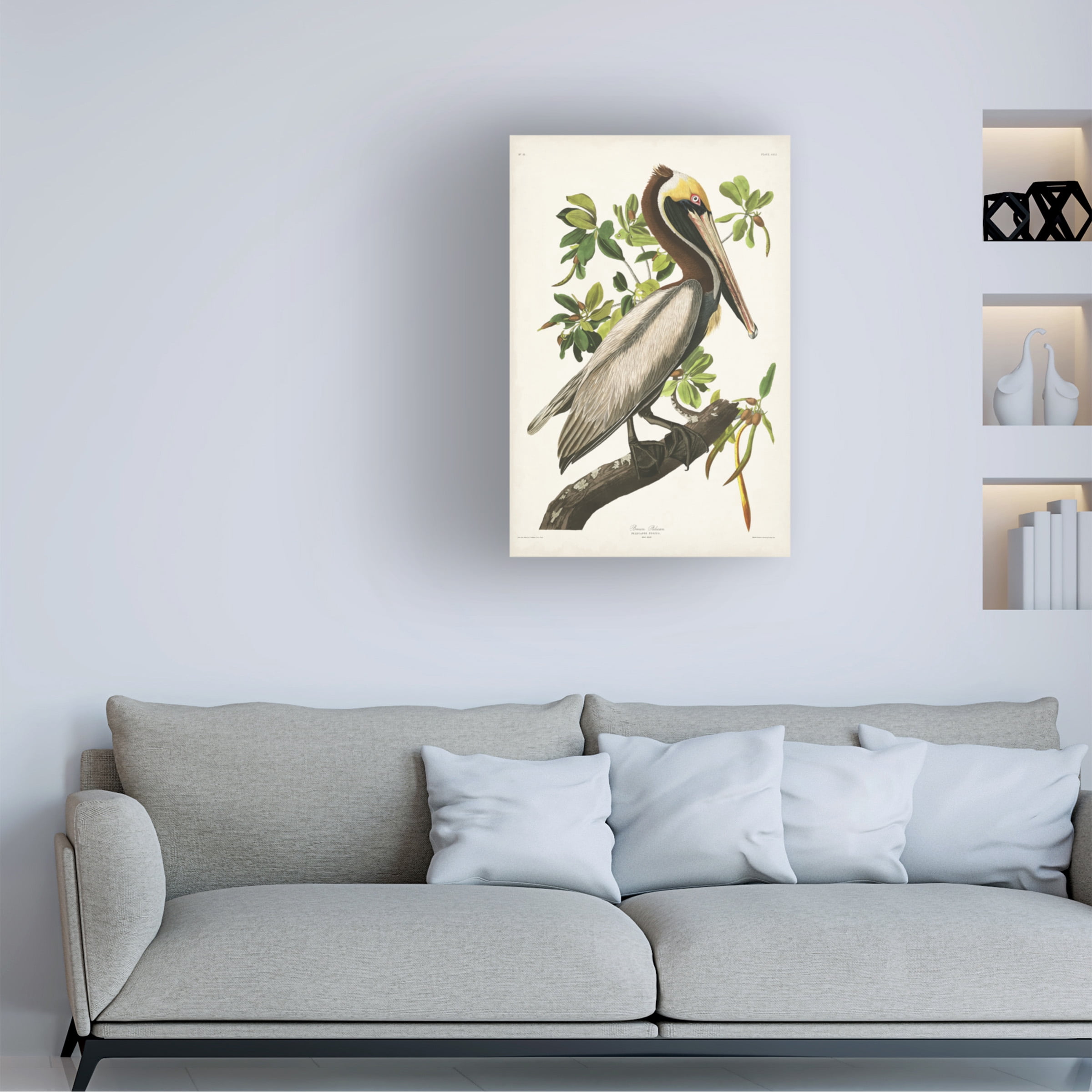 John James Audubon 'Brown Pelican ' Canvas Art