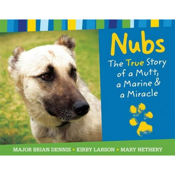 Pre-Owned Nubs: The True Story of a Mutt, a Marine & a Miracle (Hardcover) 031605318X 9780316053181