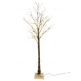 thumbnail image 4 of Arbre de Bouleau Éclairé de 70 Pouces, 4 of 12