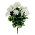 thumbnail image 1 of 17 Pouces Géranium Bush x9 Blanc (Lot de 12), 1 of 1