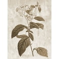 thumbnail image 2 of Lewis, Sheldon 19x24 White Modern Wood Framed Museum Art Print Titled - Earth Balance 10, 2 of 4