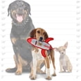 thumbnail image 3 of Tuffy Transportation Rocket Durable Plush Squeaky Dog Toy, 2 Pack, 3 of 7