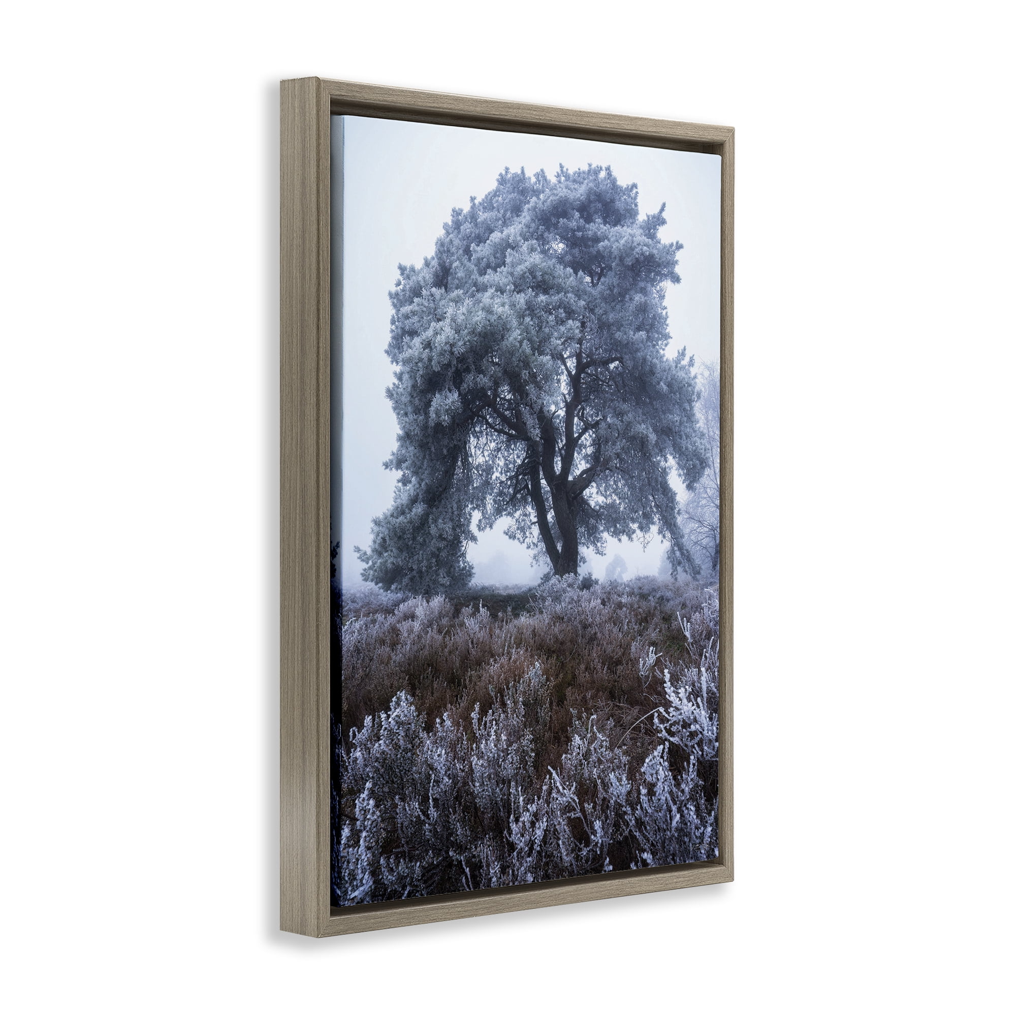 Stupell Industries Frosted Tree in Winter Mist Brown Framed Floater Canvas Wall Art, design by Martin Podt