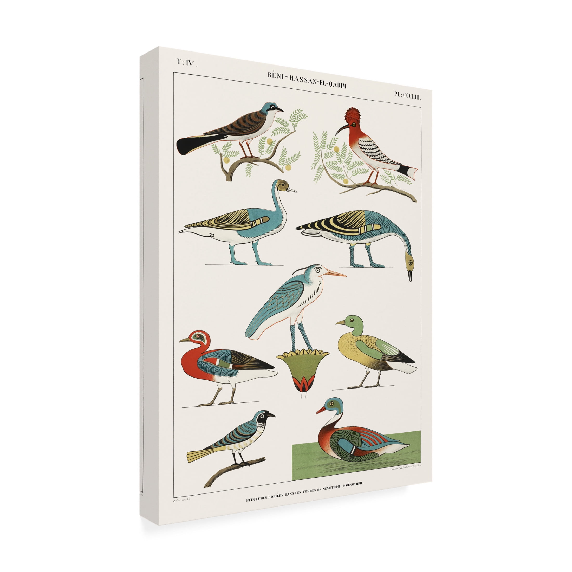 Trademark Fine Art Jean Francois Champollion Egyptian Bird Charts I Canvas Wall Art