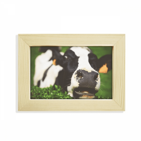 Pcture m Animal Cow Desktop Decorate Photo Frame Picture Art Painting 5x7 inch
