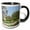 Black/White, variant on 3drose, Conservatory Gardens, Central Park, New York City - Us33 Mgi0037 - Mark Gibson, 11oz Two-tone Green Mug