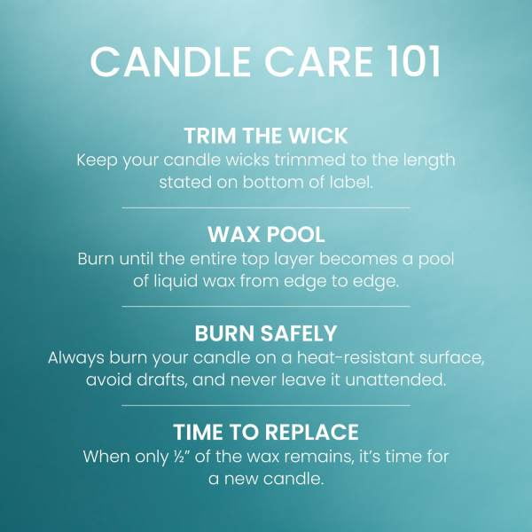 Yankee Candle Small Tumbler Scented Single Wick Jar Candle, Catching Rays, 4.3 oz (Pack of 4)