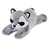 Gray Raccoon