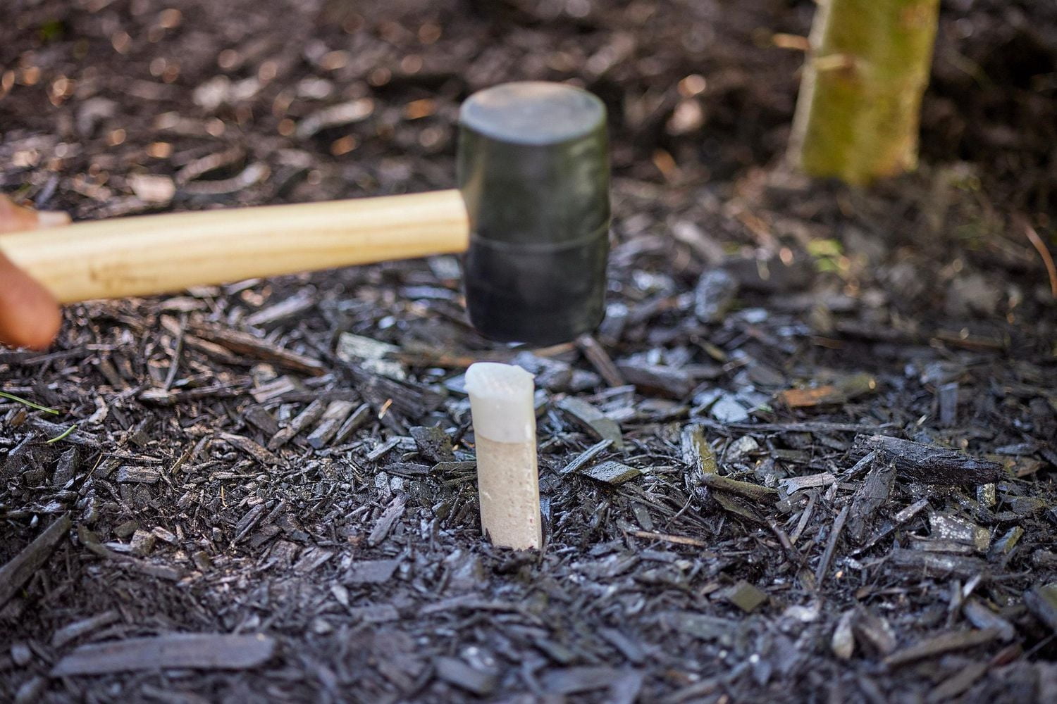 Miracle-Gro® Evergreen Plant Food Spikes 12-6-12