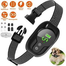 Control Collar Dog Barking Collar Walmart Guardian By PetSafe
