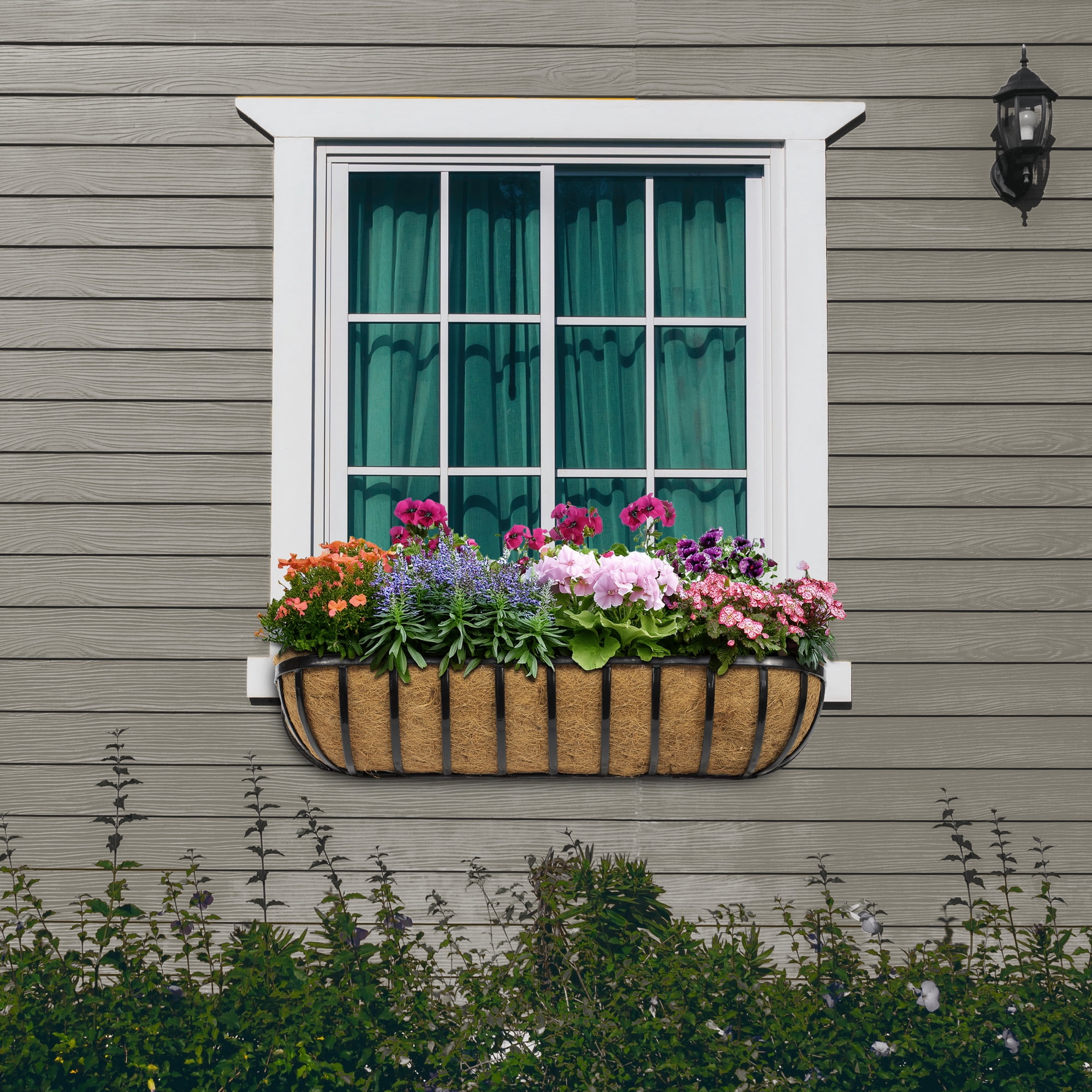 Cambridge Premium Wall Trough 36" x 8" x 7" Black Coco Liner Planter Boxes with Flattened Slat Styling