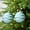 Sky Blue#5, variant on Christmas Ornament Ball Set Wave Texture Plastic Sky Blue Gold Red Brown Purple Unique Glossy Finish Hanging Rope Included Holiday Tree Decoration 2 Pack 3.14in Diameter