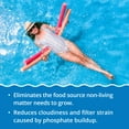 thumbnail image 3 of In The Swim - No Phos - Fast-Acting Phosphate Remover for Clear, Balanced Water - 3 Liter - 4-pack, 3 of 4
