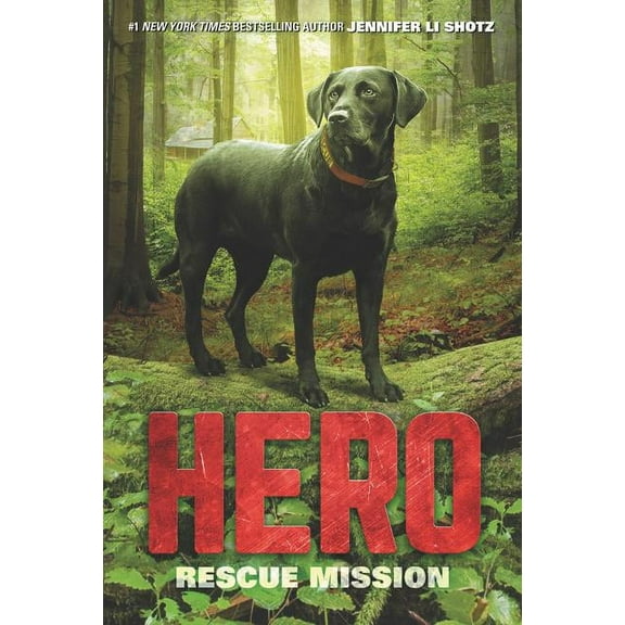 Hero Hero: Rescue Mission, Book 3, (Paperback)