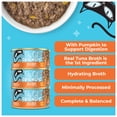 thumbnail image 6 of (2 pack) Tiki Cat Friends Wet Cat Food, Tuna & Pumpkin, 2.8 oz. Can, 6 of 10