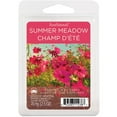 thumbnail image 1 of ScentSationals Scented Wax Cubes - Summer Meadow, 1 of 4