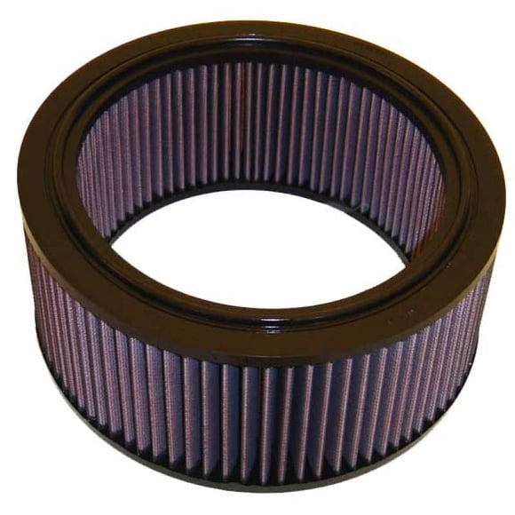 Ford F150 Air Filter