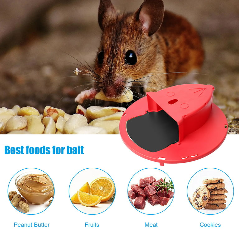 TSV Mouse Trap Bucket Lids, Flip N Slide Bucket Lid Mouse Rat Trap