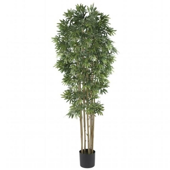6 in. Bamboo Japanica Silk Tree
