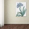 thumbnail image 3 of Trademark Fine Art 'Summer Botanicals I' Canvas Art by Wild Apple Portfolio, 3 of 3