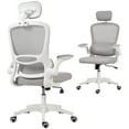 thumbnail image 1 of HOMCOM Ergonomic Office Chair, Desk Chair with Lumbar Support, Grey, 1 of 10