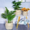 thumbnail image 4 of Seagrass Basket Folding Wicker Handle Round Natural Sea Grass Plant Flower Storage Basket, 4 of 14