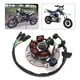 thumbnail image 3 of Placa de estator magnético instalación simple Estator magnético de motocicleta a prueba de herrumbre de alta resistencia antienvejecimiento para accesorios de motocicleta ANGGREK Otros, 3 of 8