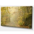 thumbnail image 2 of Sentier Forestier d'Automne par un Matin Brumeux, 2 of 3