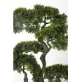 thumbnail image 2 of Vintage Home Artificial Faux Real Touch 45" Tall Bonsai, And D8 Real Touch Pot, 2 of 2