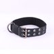 thumbnail image 1 of Collar para perro de tamaño grande, collar tipo pitbull de nailon resistente y grueso, 1 of 5