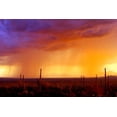 thumbnail image 2 of Taylor, Douglas 14x11 Black Ornate Wood Framed with Double Matting Museum Art Print Titled - Evening Rain, 2 of 4