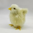 thumbnail image 4 of 1* Plush Ornament Clearance! Realistic Plush Little Chick Figurine Lifelike Furry Animal Toy Chicken Sound Photography Props Chicken Decor, 4 of 4