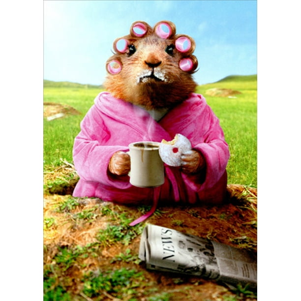Avanti Press Morning Groundhog Funny Mother's Day Card - Walmart.com