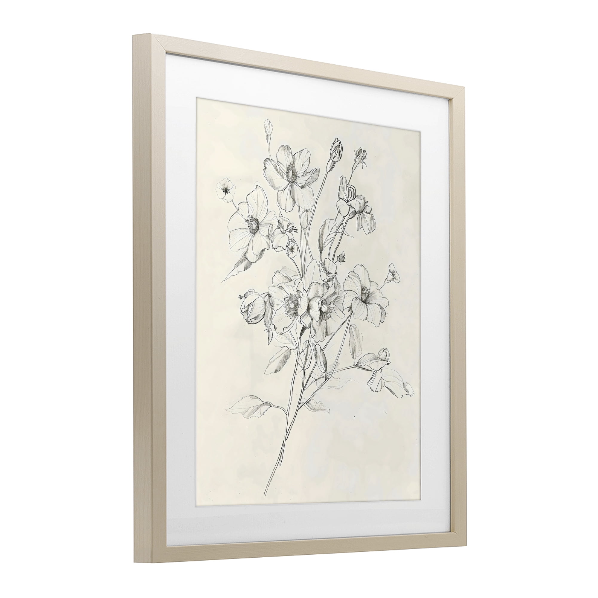Stupell Industries Wildflower Outline Study Birch Framed Print Under Glass, design by Creative Studio