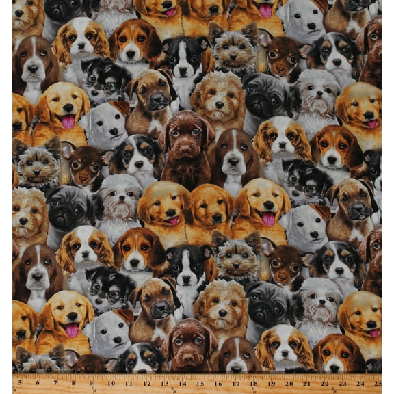 Cotton Puppies Puppy Dogs Breeds Beagles Golden Retrievers Pugs Basset Hounds Adorable Pets Animals Cotton Fabric Print by the Yard (3800MULTI)