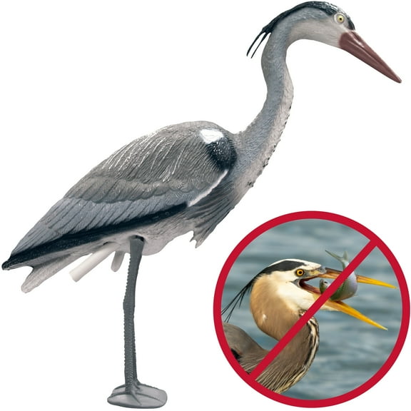 The Pond Guy Blue Heron Decoy for Backyard Water Gardens or Ponds, Realistic Outdoor Bird Statue 