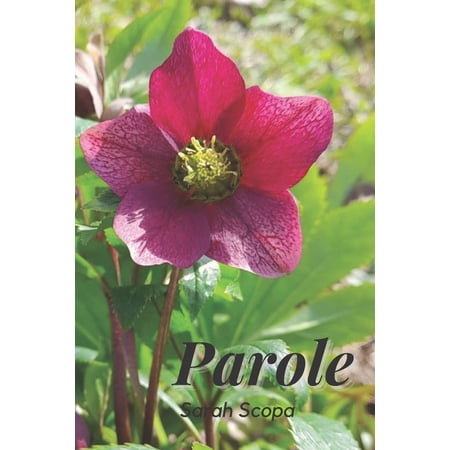 Parole (Paperback)