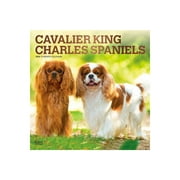 2023 BrownTrout Cavalier King Charles Spaniels 12"" x 12"" Monthly Wall Calendar (9781975449162)