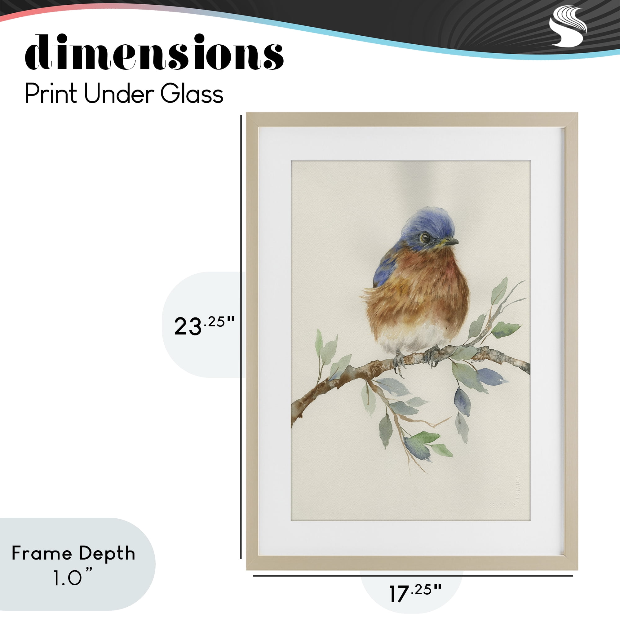 Stupell Industries Songbird Perched on Branch Birch Framed Print Under Glass, design by Cady Driver