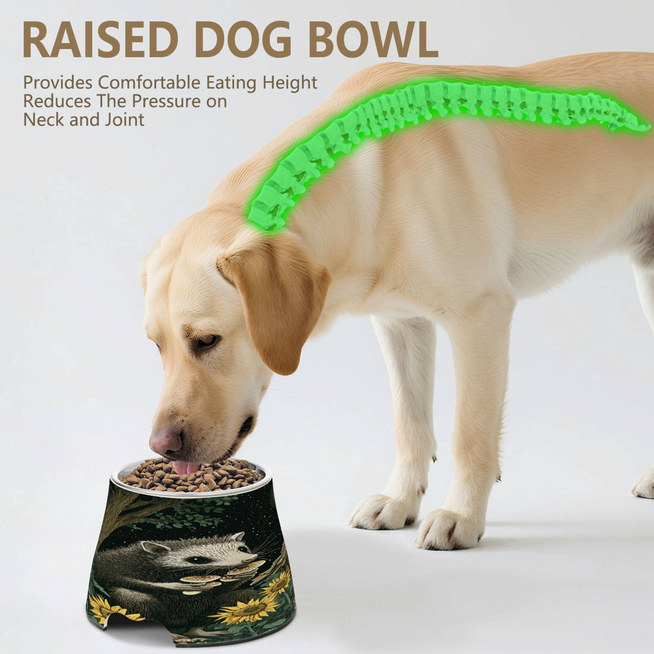 Raised Pet Bowl with Removable Stainless Steel Insert Anti-Slip No-Tip Dog Bowl for Small to Medium Pets Extra Large Possum