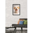 thumbnail image 2 of Keith Kimberlin - Puppy Wall Poster, 14.725" x 22.375" Framed, 2 of 4