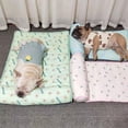 thumbnail image 2 of Billuyoard Cojín portátil para gatos: lindo y práctico para mascotas Suministros para mascotas Manta para gatos Cama para cachorros para perros Type2 NO2, 2 of 6
