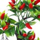 thumbnail image 2 of GOOHOCHY Planta artificial de chile falso, planta artificial de plástico, decoración de chile falso para oficina y hogar., 2 of 8