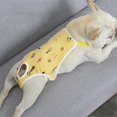 thumbnail image 4 of Pet Sanitary Pants Adjustable Band Menstruation Shorts Washable Dog Diaper Pet Physiological Pants For Indoor, 4 of 5
