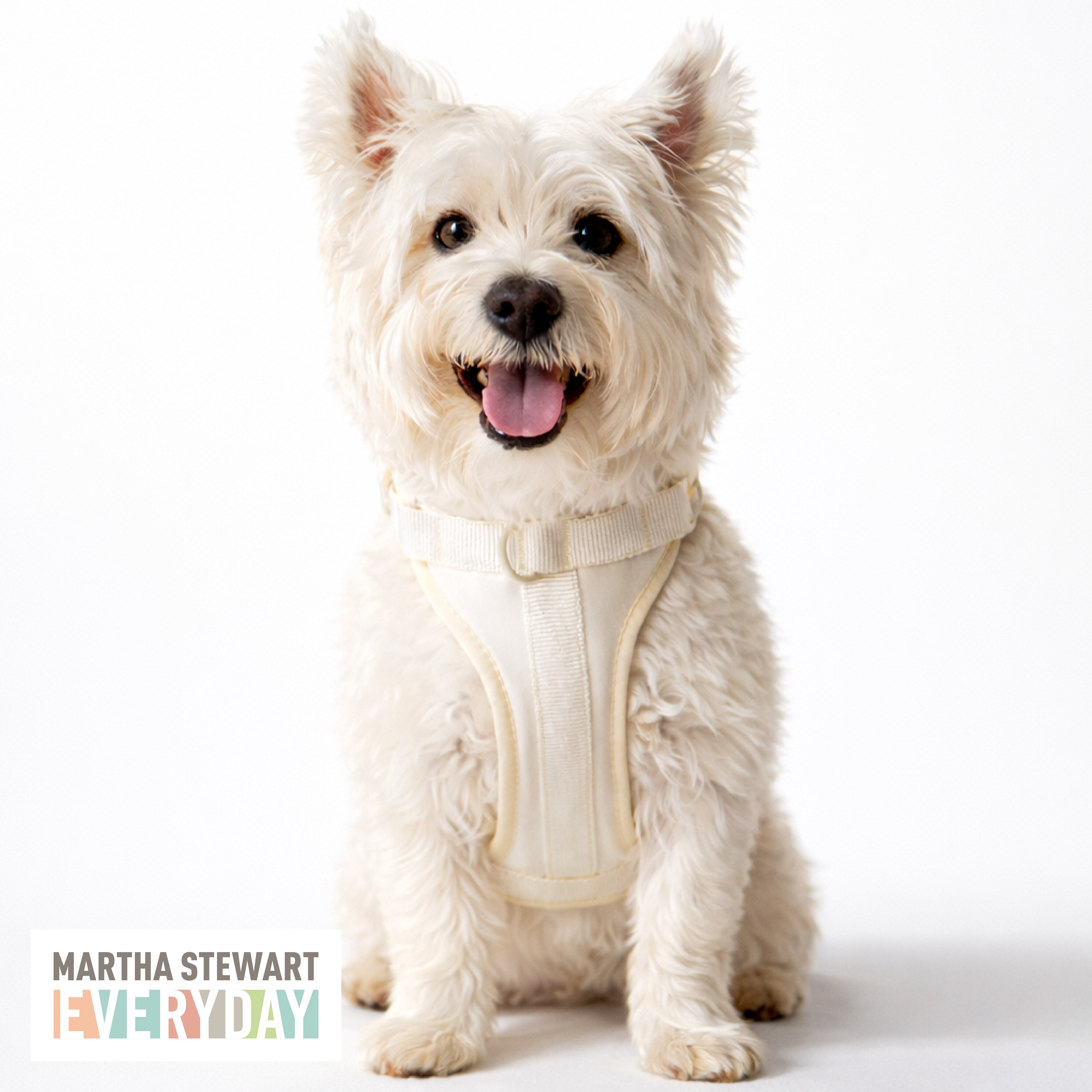 Martha Stewart Neoprene Padded Harness - Cream, Small