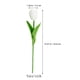 thumbnail image 4 of KAKOWELY 20 tulipanes artificiales falsos para arreglos florales, materiales para ramos de boda., 4 of 5