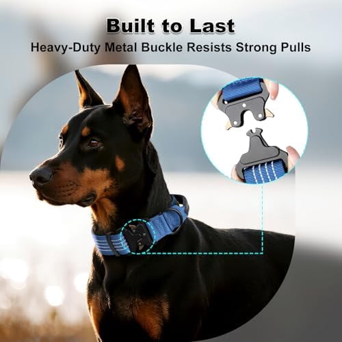 Tactical Dog Collar with Tracker Pocket for AirTag, Adjustable Reflective Nylon Collar, Metal Buckle, Leather-Wrapped Handle, Soft Padded for Medium Large Dogs (Blue, L)