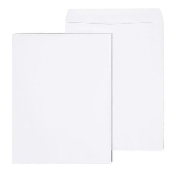 HITOUCH BUSINESS SERVICES Self Seal Catalog Envelopes 10" x 13" White 100/Box SPL478157
