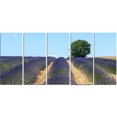 thumbnail image 2 of Belles Rangées de Lavande en France - Art Mural sur Toile Paysage, 2 of 3