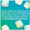 thumbnail image 6 of Extra Refreshers Mint Mix Gum Piece Bottle 40.0 ea Pack of 2, 6 of 8